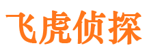 凤泉市私家侦探